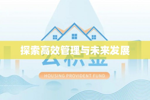 梅列探索高效管理与未来发展