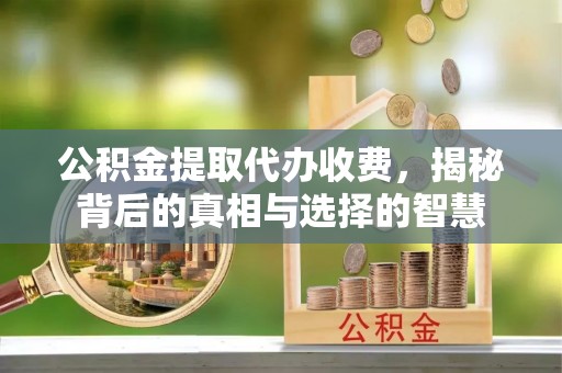 梅列公积金提取代办收费，揭秘背后的真相与选择的智慧