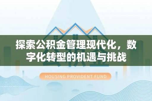 梅列探索公积金管理现代化，数字化转型的机遇与挑战