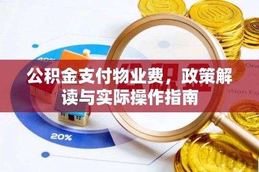 梅列公积金支付物业费，政策解读与实际操作指南