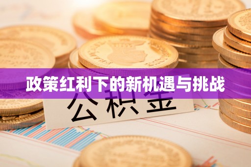 梅列政策红利下的新机遇与挑战