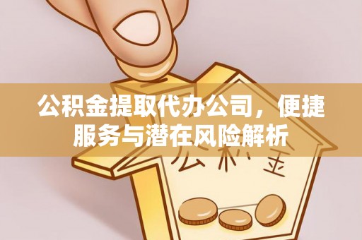 梅列公积金提取代办公司，便捷服务与潜在风险解析