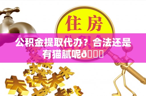 梅列公积金提取代办？合法还是有猫腻呢😏