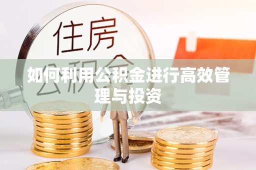 梅列如何利用公积金进行高效管理与投资