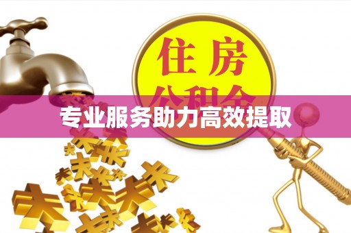梅列专业服务助力高效提取